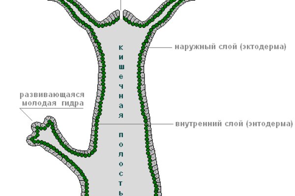 Кракен площадка торговая kr2web in